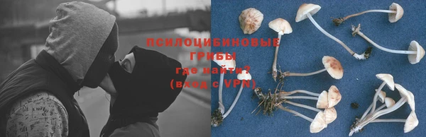 героин Алексин