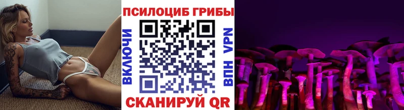 Псилоцибиновые грибы Psilocybe  закладки  Иннополис 